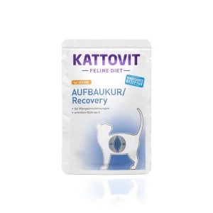 Kattovit RECOVERY UMIDO 85G